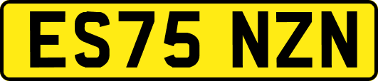 ES75NZN