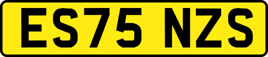 ES75NZS