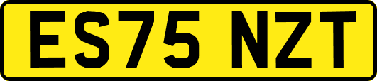 ES75NZT