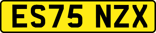 ES75NZX