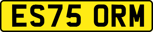 ES75ORM