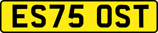 ES75OST