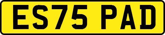 ES75PAD