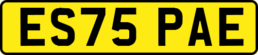ES75PAE