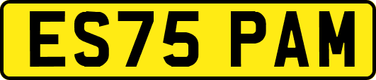 ES75PAM