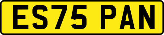 ES75PAN