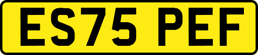 ES75PEF