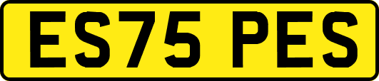 ES75PES