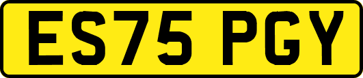 ES75PGY