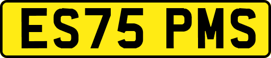 ES75PMS