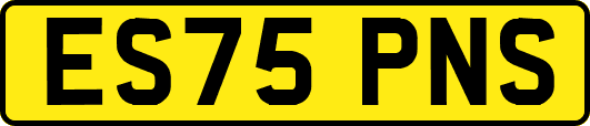 ES75PNS