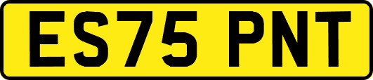 ES75PNT