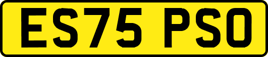 ES75PSO