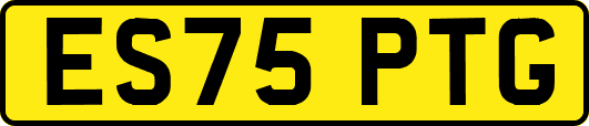 ES75PTG