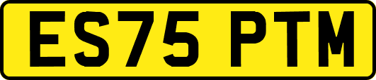 ES75PTM