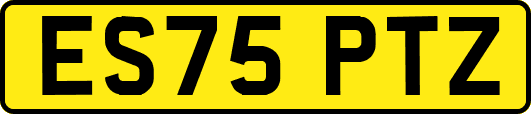 ES75PTZ