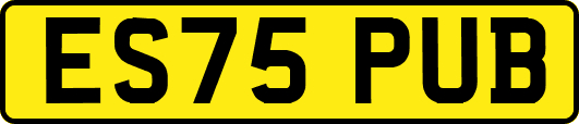 ES75PUB