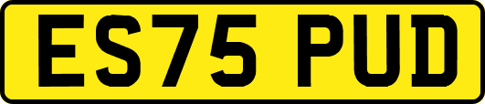 ES75PUD