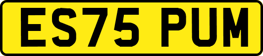 ES75PUM