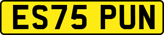 ES75PUN