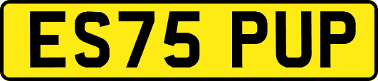 ES75PUP