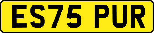 ES75PUR