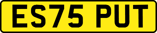 ES75PUT