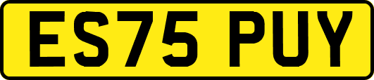 ES75PUY