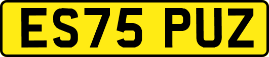 ES75PUZ