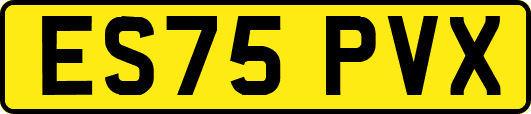 ES75PVX