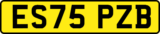 ES75PZB