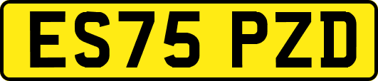 ES75PZD