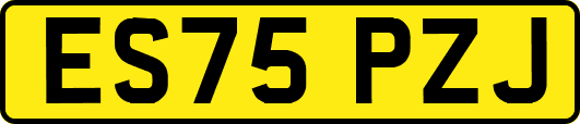 ES75PZJ