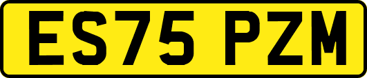 ES75PZM