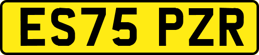 ES75PZR