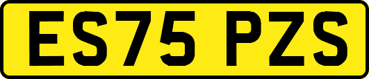 ES75PZS