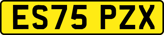ES75PZX