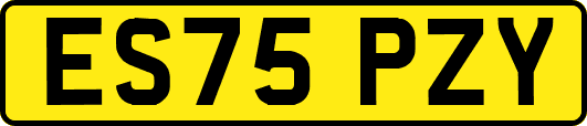 ES75PZY