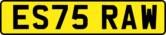 ES75RAW