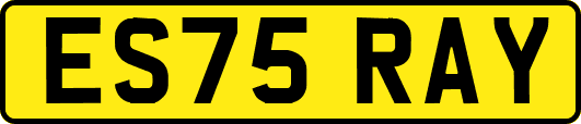 ES75RAY