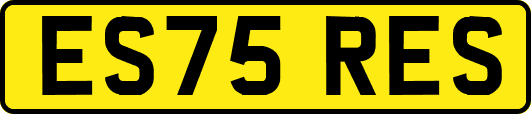 ES75RES
