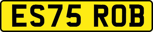 ES75ROB