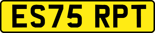 ES75RPT