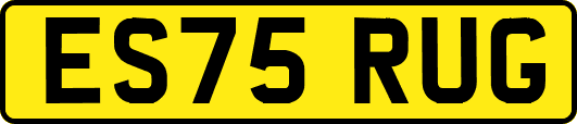 ES75RUG