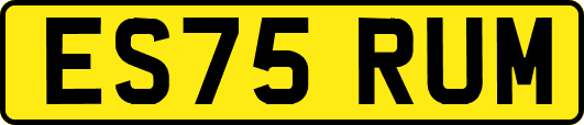 ES75RUM