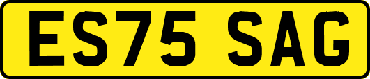 ES75SAG