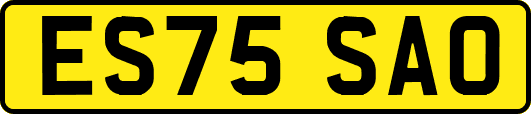 ES75SAO