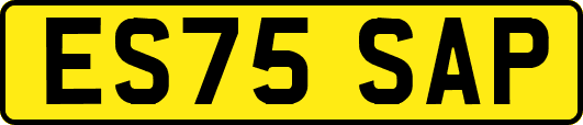 ES75SAP