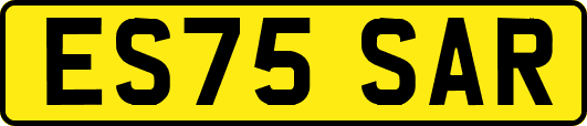 ES75SAR