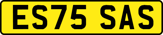ES75SAS